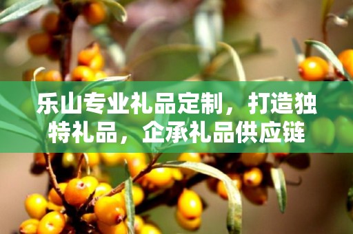 乐山专业礼品定制，打造独特礼品，企承礼品供应链