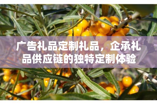 广告礼品定制礼品，企承礼品供应链的独特定制体验