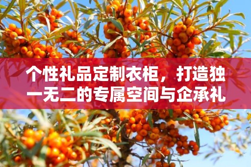 个性礼品定制衣柜，打造独一无二的专属空间与企承礼品供应链共创美好未来