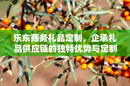 乐东商务礼品定制，企承礼品供应链的独特优势与定制体验